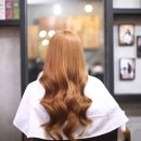 머리 & 봄