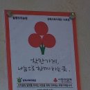 솔향오리농원 네이버블로그