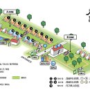 일랑일랑 이미지