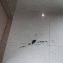 법무법인새벽 이미지