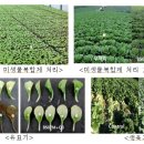 미생물연구관 이미지