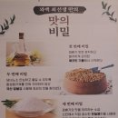 꽈백최선생중계