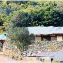 사리보건지소 이미지