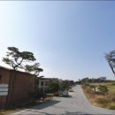 둔포면 아산밸리로, 아산밸리남로 이미지