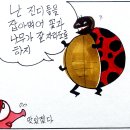 지푸락 이미지