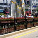 양천도시농업공원 이미지