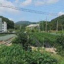 광혜원면행정복지센터 이미지