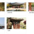 본가은행나무집식당 이미지