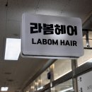 세종 아름동 미용실 톤다운 쿨톤 염색 솔직히