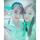 예인 이미지