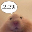 짱 노래연습장 이미지