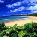 하와이 호놀롤루의 아름다운 풍경 이미지