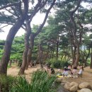 의림지솔밭가든 이미지