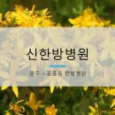신한방병원 이미지
