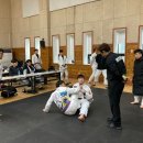 팀타이런트 유도 이미지