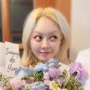 김보아 카카오 검색결과