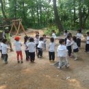 강일늘사랑유치원 이미지