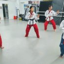 석사하나태권도 이미지