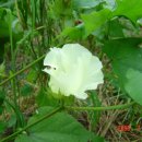 자유로농장 이미지