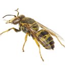 영창한의원 이미지