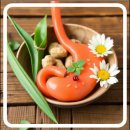 내 건강을 지키는 약과 생활 이미지