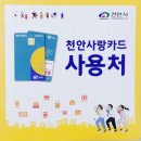 S더핏점핑