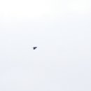 낙동강변18 이미지