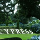 사이프러스CC 이미지