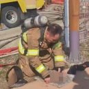 지곡119안전센터 이미지