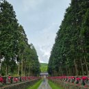 제주 자락 이미지