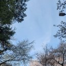장안44 | 수원화성행궁,행리단길, 화서문, 장안공원, 방화수류정, 오랜만에 즐기는 봄 나들이,수원가볼만한곳...