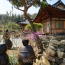 초당골한옥 이미지