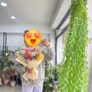 필루트플라워