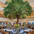 발리당구클럽 이미지