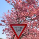 광정초등학교 이미지