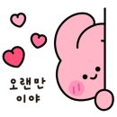 찌아헤어
