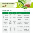 더블윈코리아