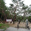 중앙공원(자전거교실) 이미지