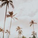 청량한의원 이미지