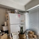 플랫파우더