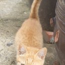 삼화3리 이미지