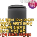 지성세탁 | 통돌이 19kg DD모터 인공지능 세탁기 터보샷 맞춤세탁 진동저감 풀스텐 가정용 추천(단독 최저가 78만원!)