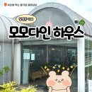 세븐일레븐 남양주연평리점 | 남양주 진접 카페 맛집 모모다인 오픈하우스 주말 후기
