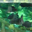 서천생태공원 이미지