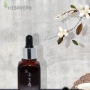 헤바베오 (Hebavepo)