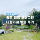 모어그린 | [경기/카페] 양주 장흥 모어그린 대형카페 방문 후기