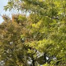 비와이 짐 이미지