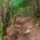 저지오름 이미지