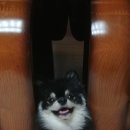 동글동글 이미지