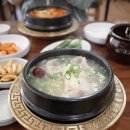 야탑골한방삼계탕 이미지